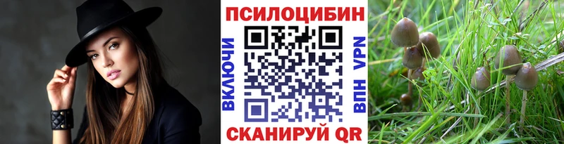 наркошоп Светлогорск Псилоцибиновые грибы прущие грибы